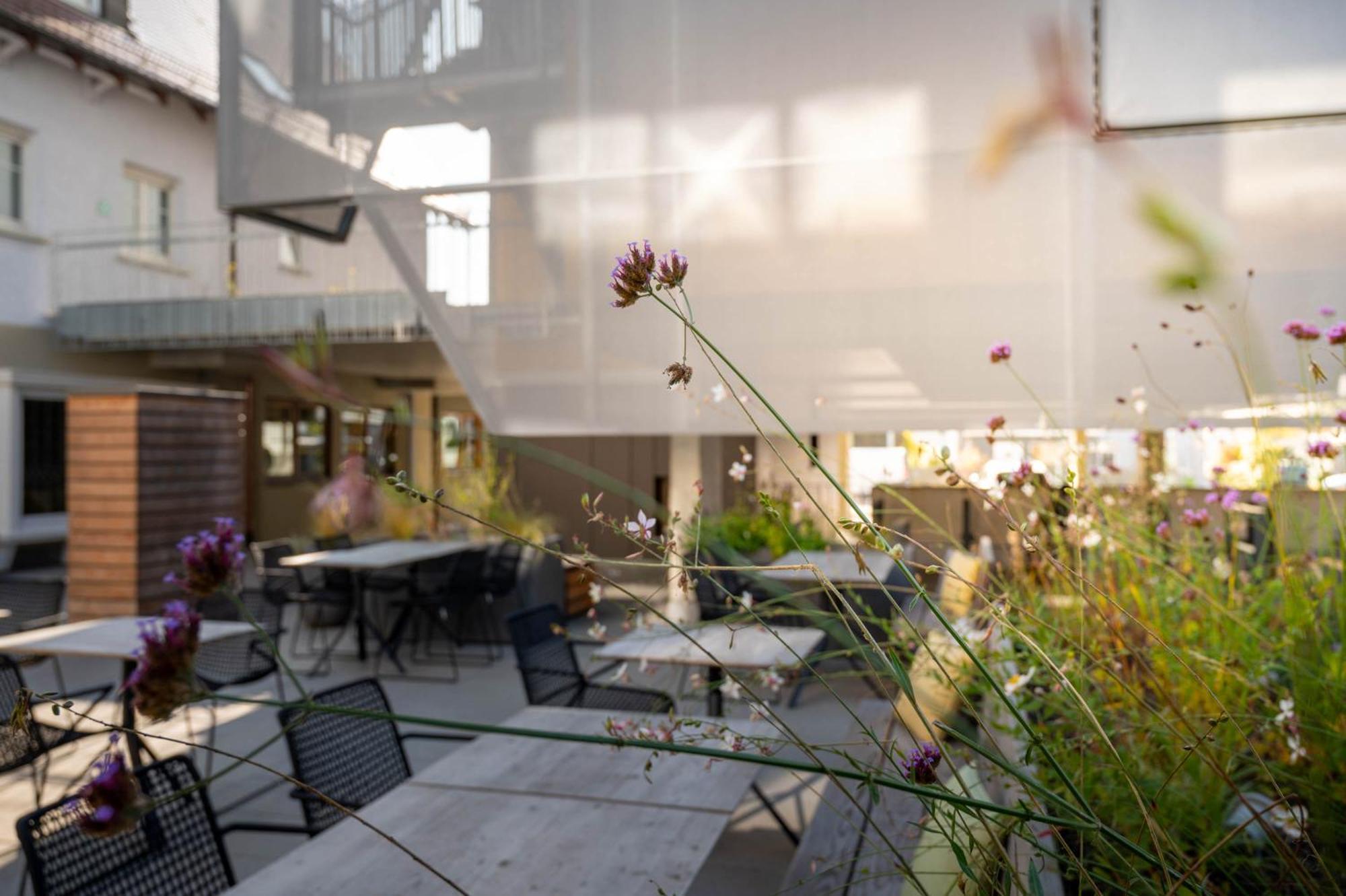 Hotel Maier FDH 외부 사진